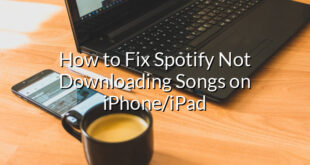 How to Fix Spotify Not Downloading Songs on iPhone/iPad